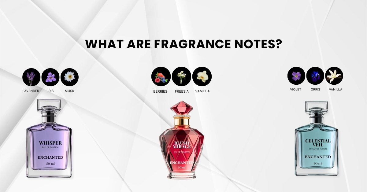 What Are Fragrance Notes?